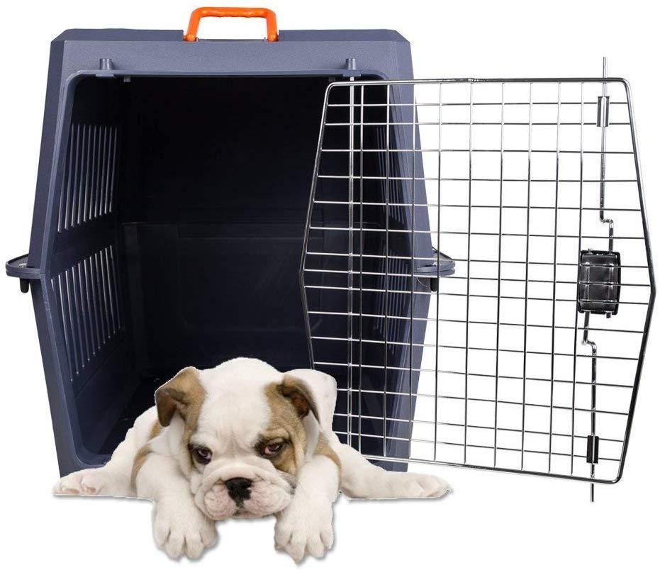 Plastic Cat & Dog Carrier Cage with Chrome Door Portable Pet Box Airline Approved, Extra Large