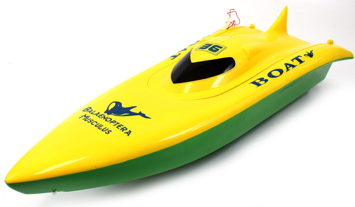 23" Balaenoptera Musculus Racing Boat