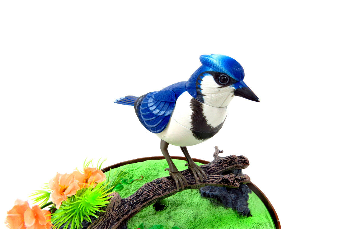 Singing & Chirping Bird In Cage - Realistic Sounds & Movements Blue