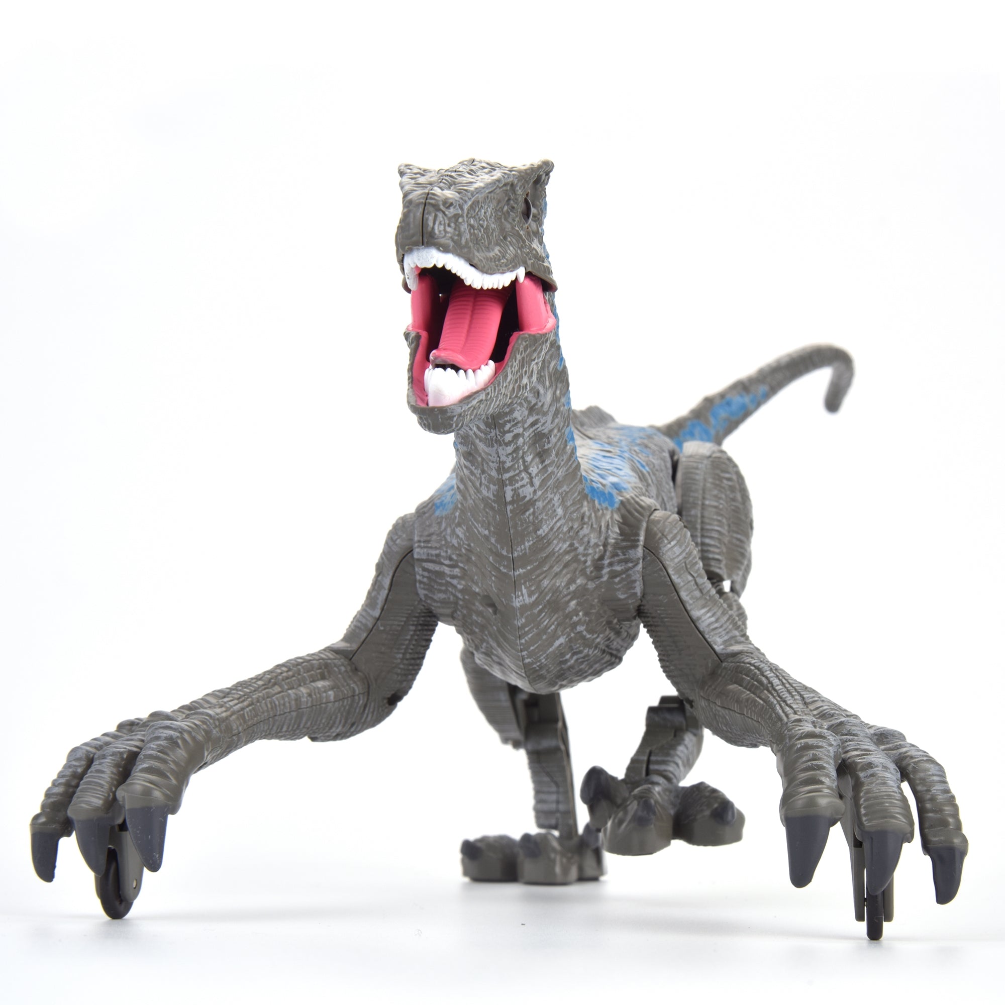 R/C Dino Velociraptor w/3D Eye ED Light, Roaring & Shaking Head/Tail Gray