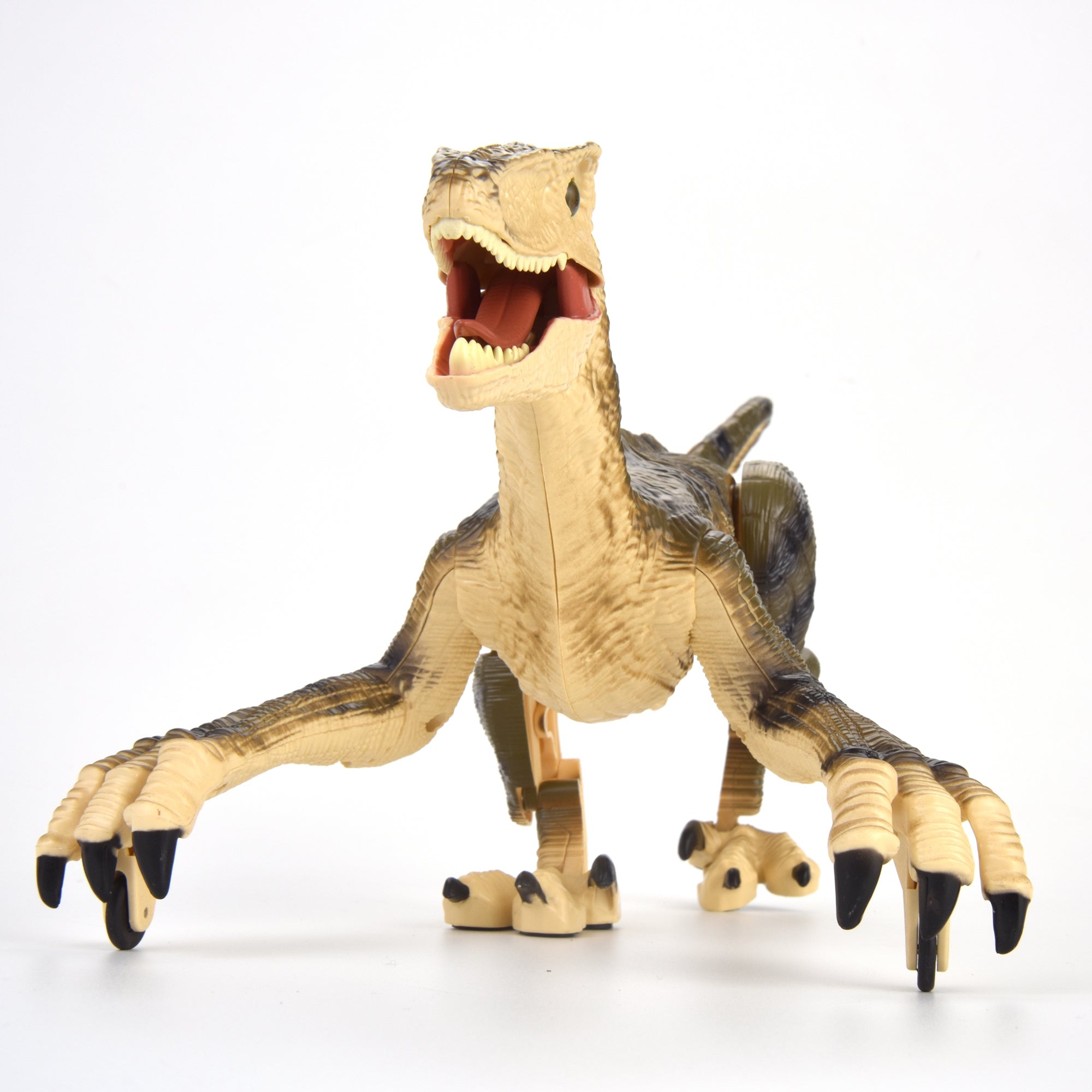 R/C Dino Velociraptor w/3D Eye ED Light, Roaring & Shaking Head/Tail Yellow