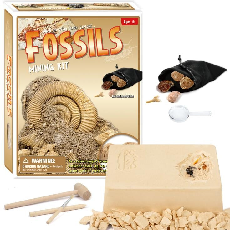 Fossile DIG Kit, Dinosaur Digging Kids Activities