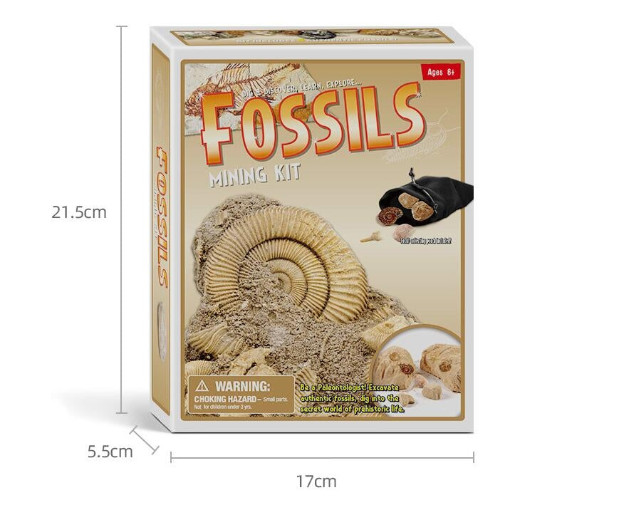 Fossile DIG Kit, Dinosaur Digging Kids Activities