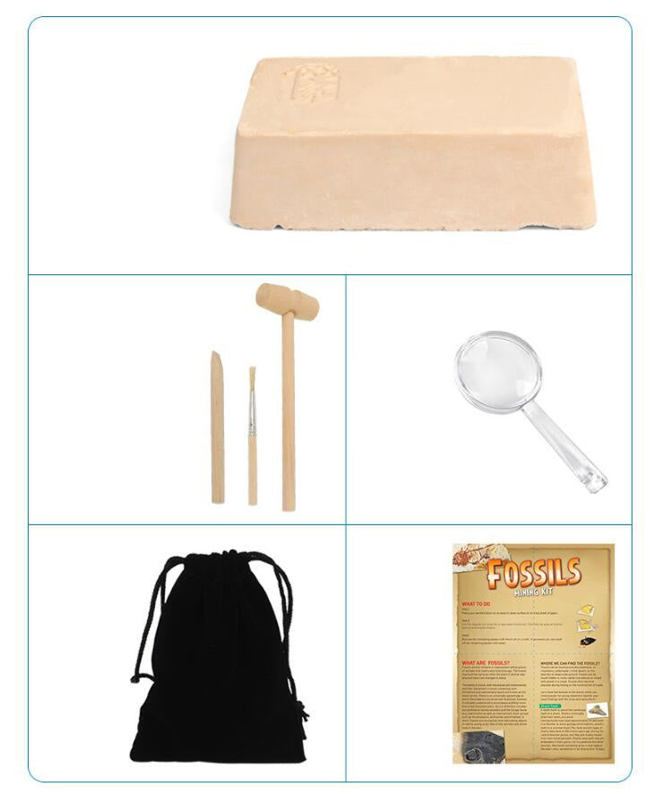 Fossile DIG Kit, Dinosaur Digging Kids Activities