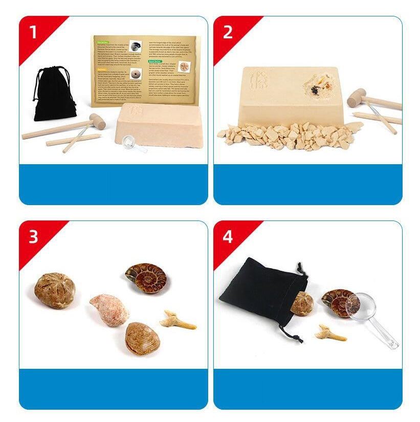 Fossile DIG Kit, Dinosaur Digging Kids Activities