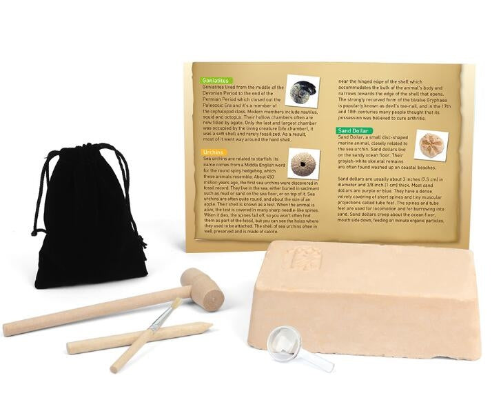 Fossile DIG Kit, Dinosaur Digging Kids Activities