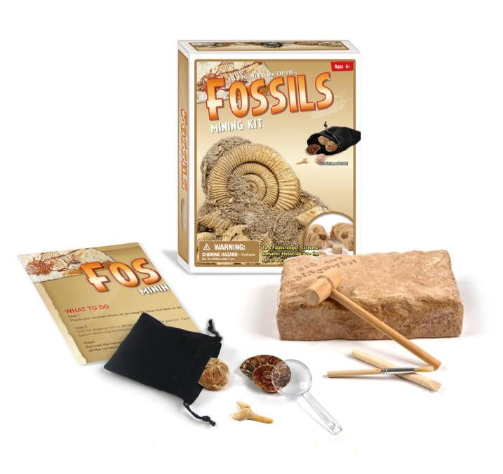 Fossile DIG Kit, Dinosaur Digging Kids Activities